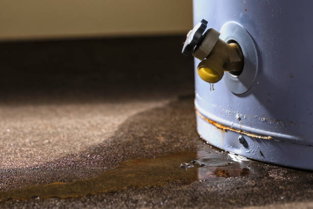 Best Water damage restoration near me  in West Point, UT