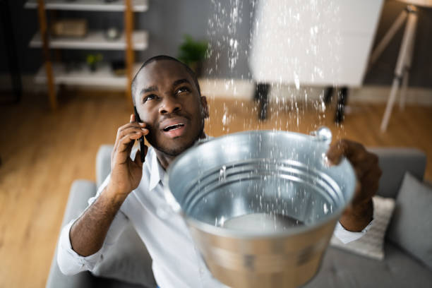 Best 24-hour water damage restoration  in West Point, UT