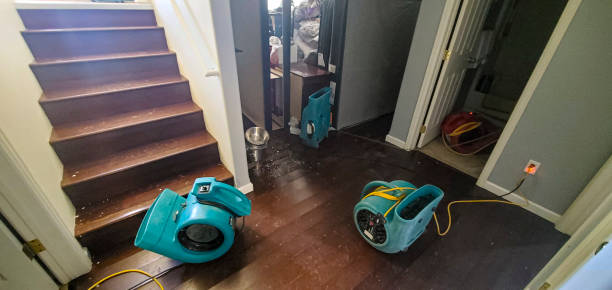 Best Fire Damage Restoration  in West Point, UT