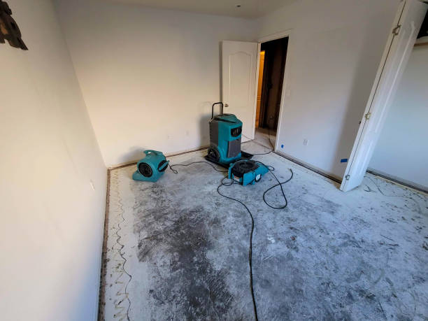 Water damage restoration mold remediation in UT