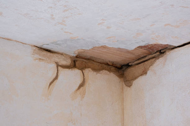 Best Sewage cleanup and water damage restoration  in West Point, UT