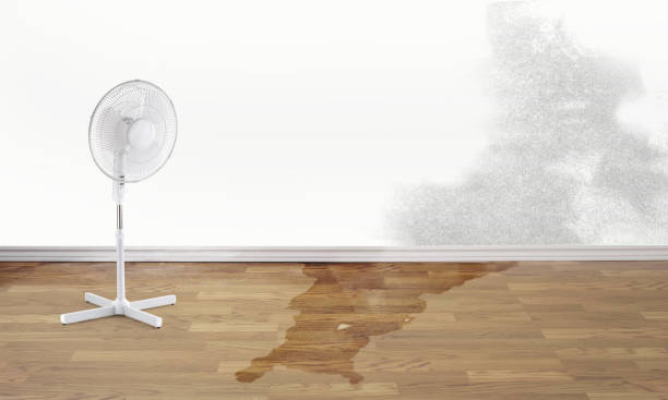 Best Fire Damage Restoration  in West Point, UT