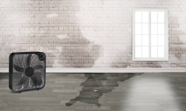 Best 24/7 water damage repair  in West Point, UT