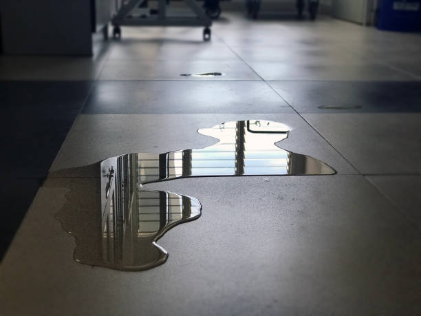 Best Commercial water damage restoration  in West Point, UT