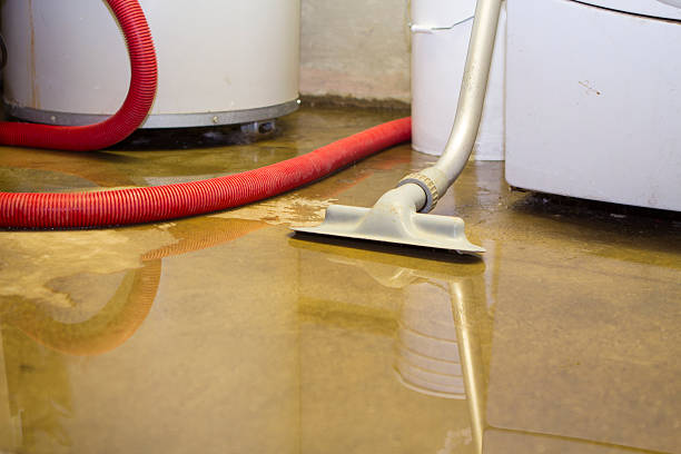 Best Residential water damage restoration  in West Point, UT