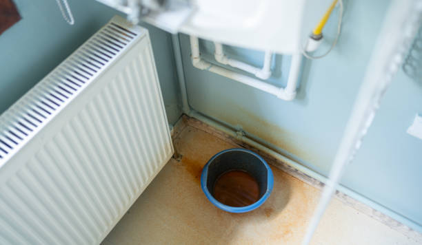 Best Flood damage cleanup  in West Point, UT