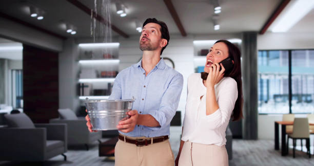 Best Water damage restoration process  in West Point, UT
